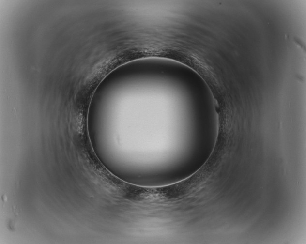 X0000103250689200808281504