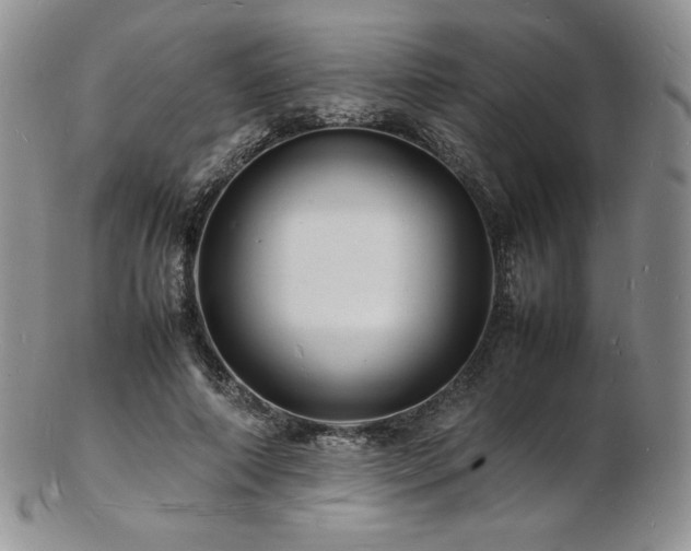 X0000103250690200808281504