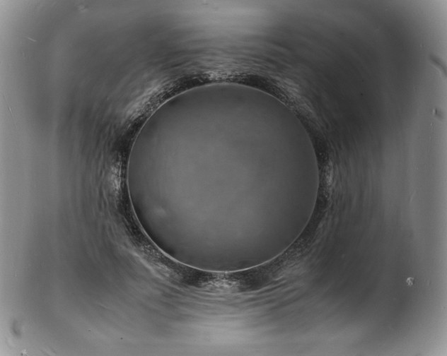X0000103250691200808281504