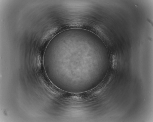 X0000103250692200808281504