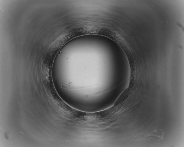 X0000103250693200808281504