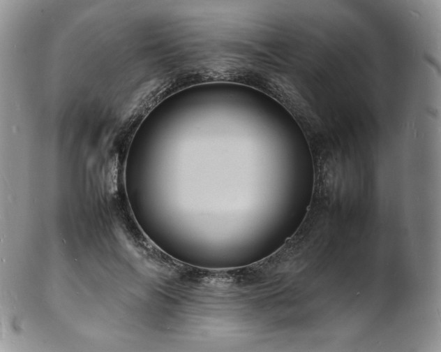 X0000103250694200808281504