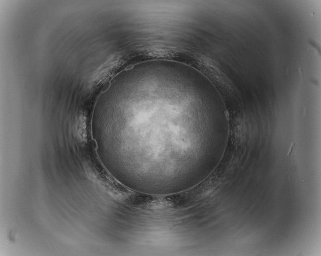 X0000103250696200808281504
