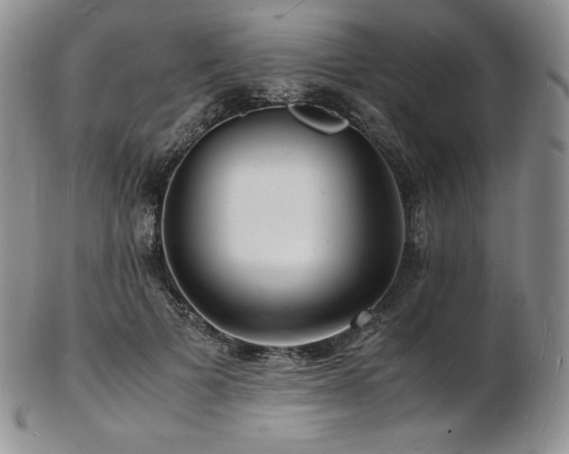 X0000103250697200808281504