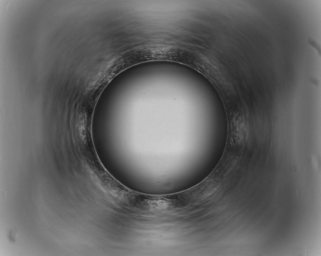 X0000103250698200808281504
