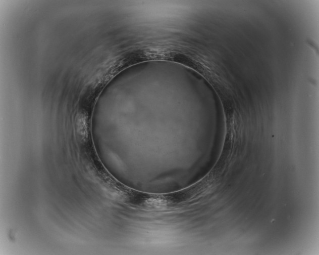 X0000103250699200808281504