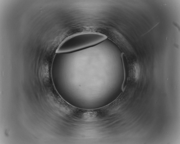 X0000103250700200808281504