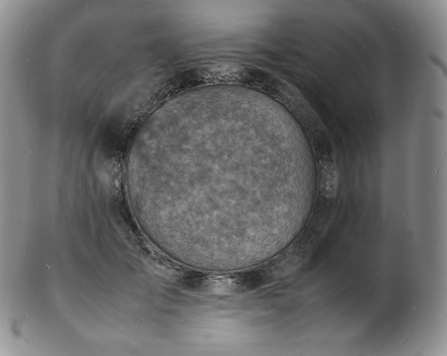 X0000103250701200808281504