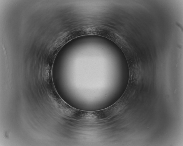 X0000103250702200808281504