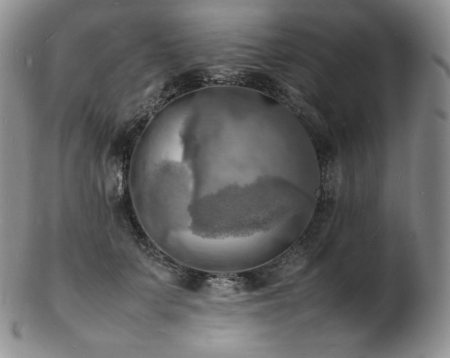 X0000103250703200808281504