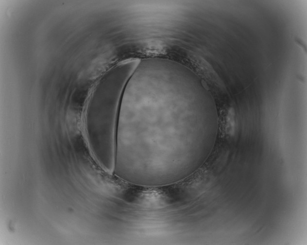 X0000103250704200808281504