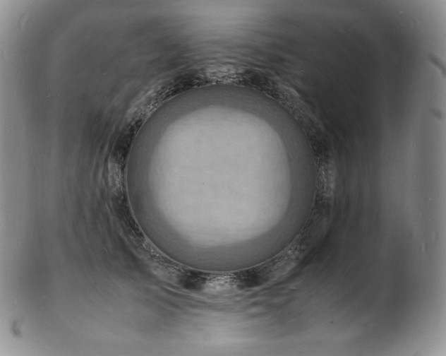 X0000103250705200808281504