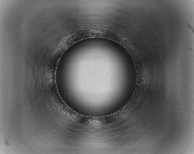 X0000103250706200808281504