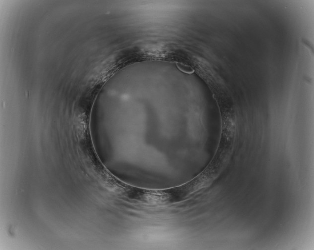 X0000103250707200808281504
