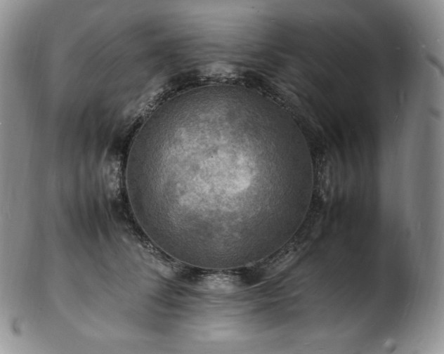 X0000103250708200808281504