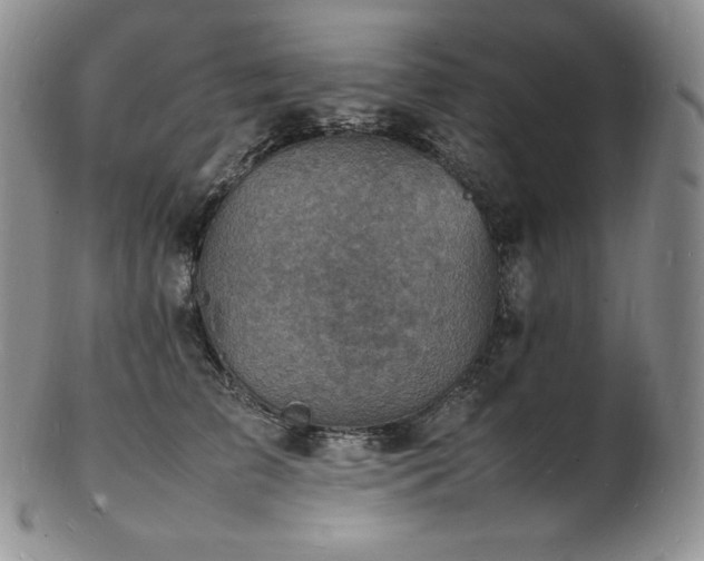 X0000103250709200808281504