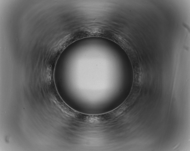 X0000103250710200808281504