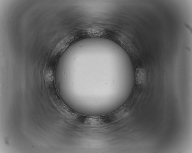 X0000103250713200808281504