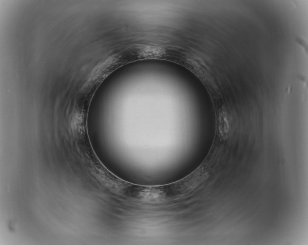 X0000103250714200808281504