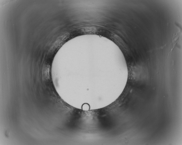 X0000103250717200808281504