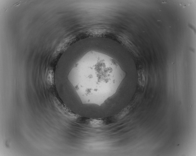 X0000103250718200808281504