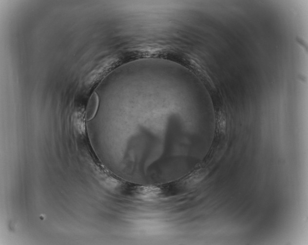 X0000103250719200808281504