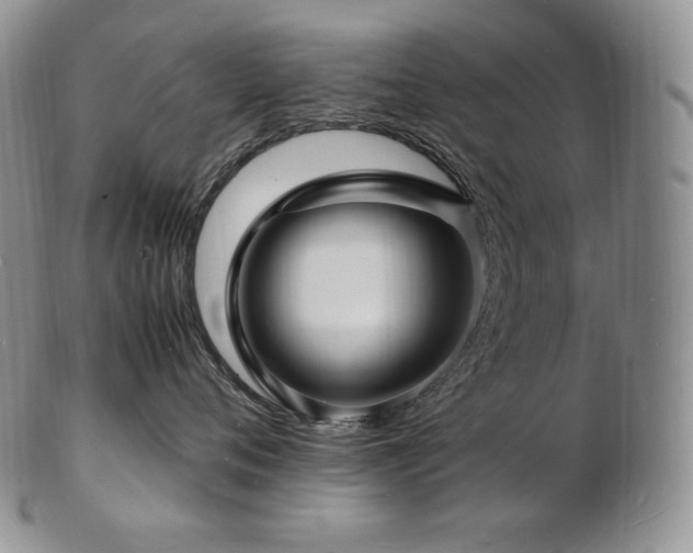 X0000103250720200808281504