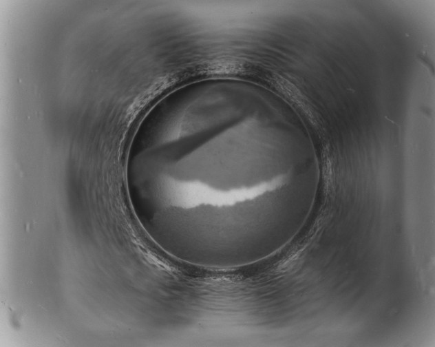 X0000103250721200808281503