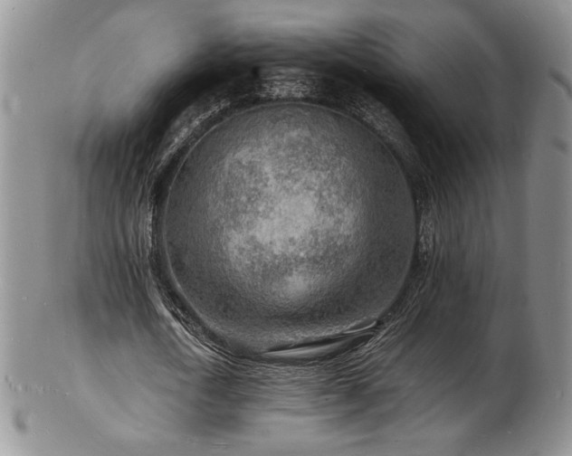 X0000103250722200808281503