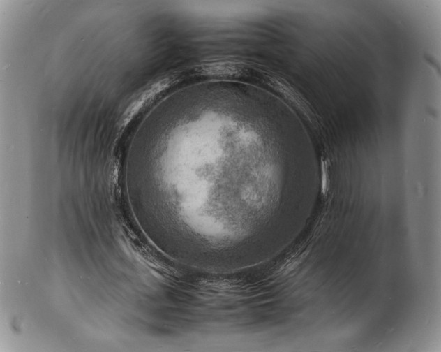 X0000103250723200808281503