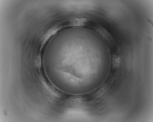 X0000103250726200808281503