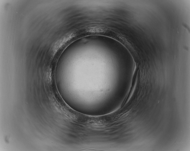 X0000103250727200808281503