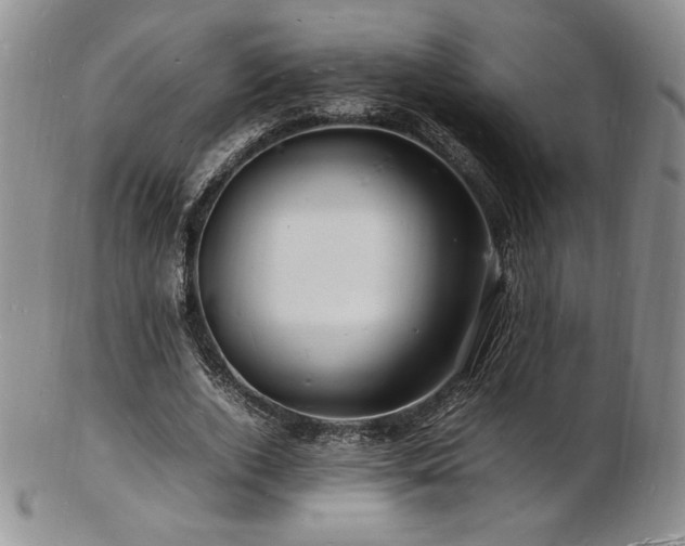 X0000103250728200808281503