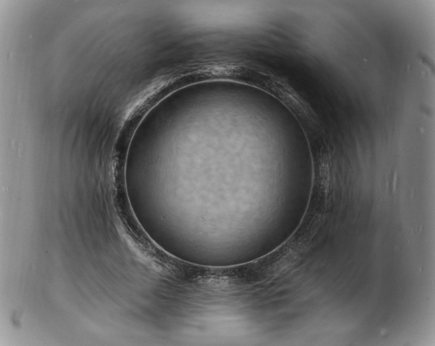 X0000103250730200808281503