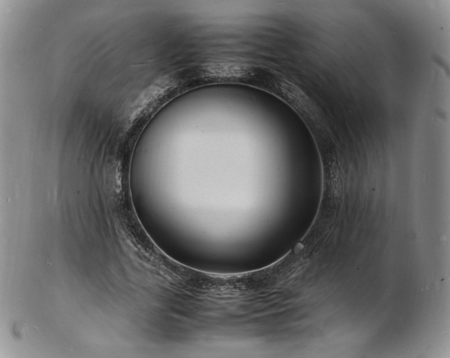 X0000103250731200808281503