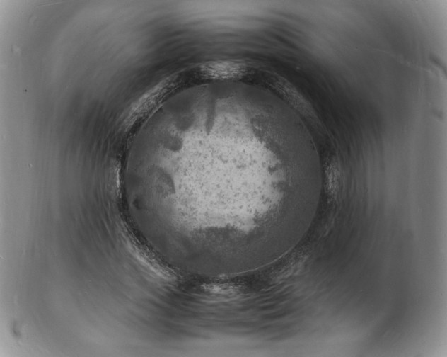X0000103250733200808281503