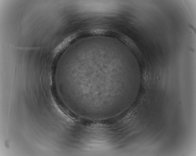 X0000103250734200808281503