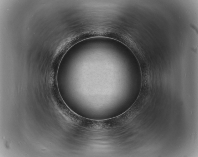 X0000103250736200808281503
