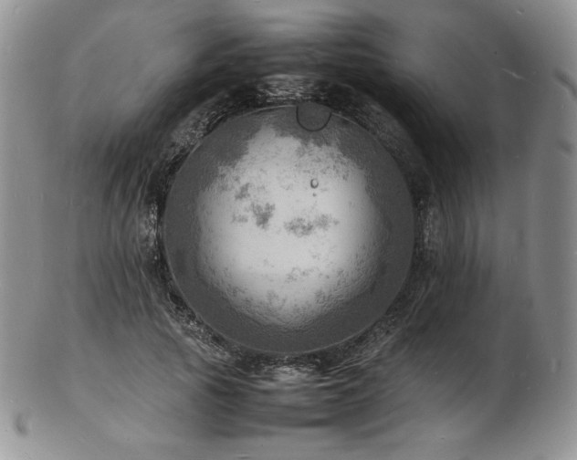 X0000103250737200808281503