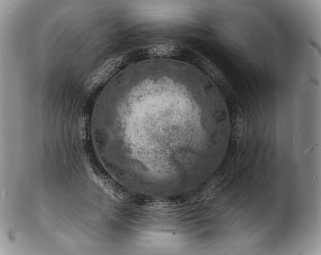 X0000103250738200808281503