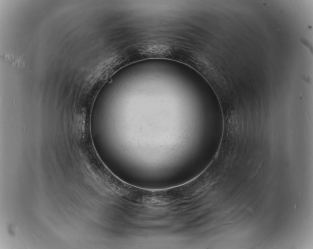 X0000103250739200808281503