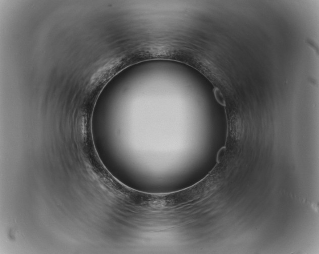 X0000103250740200808281503