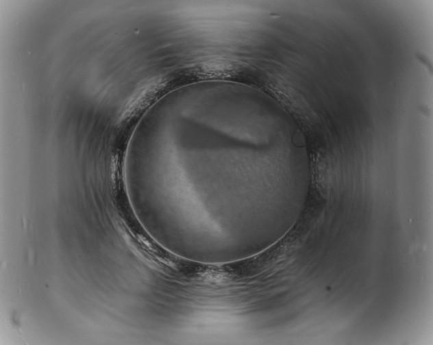 X0000103250742200808281503