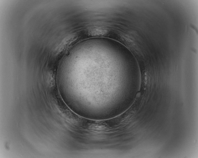 X0000103250743200808281503