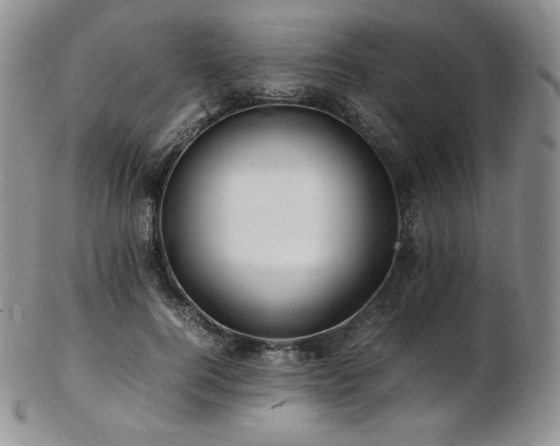 X0000103250744200808281503