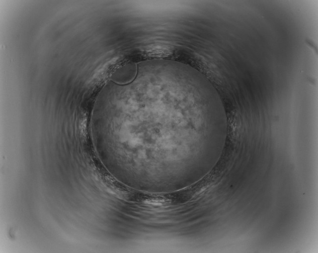 X0000103250745200808281503