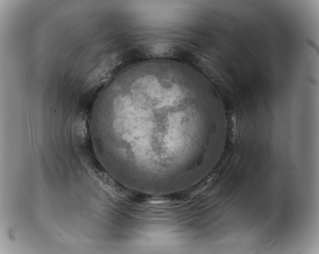X0000103250746200808281503