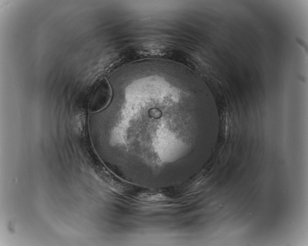 X0000103250747200808281503