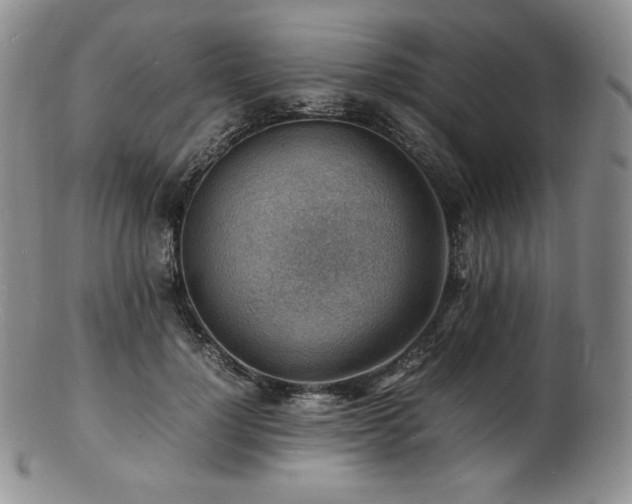 X0000103250748200808281503