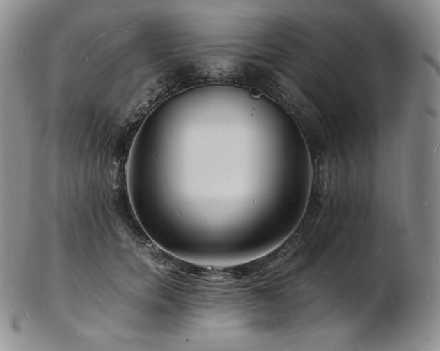 X0000103250750200808281503